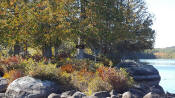 Weller Pond - AKA Loon Sanctuary